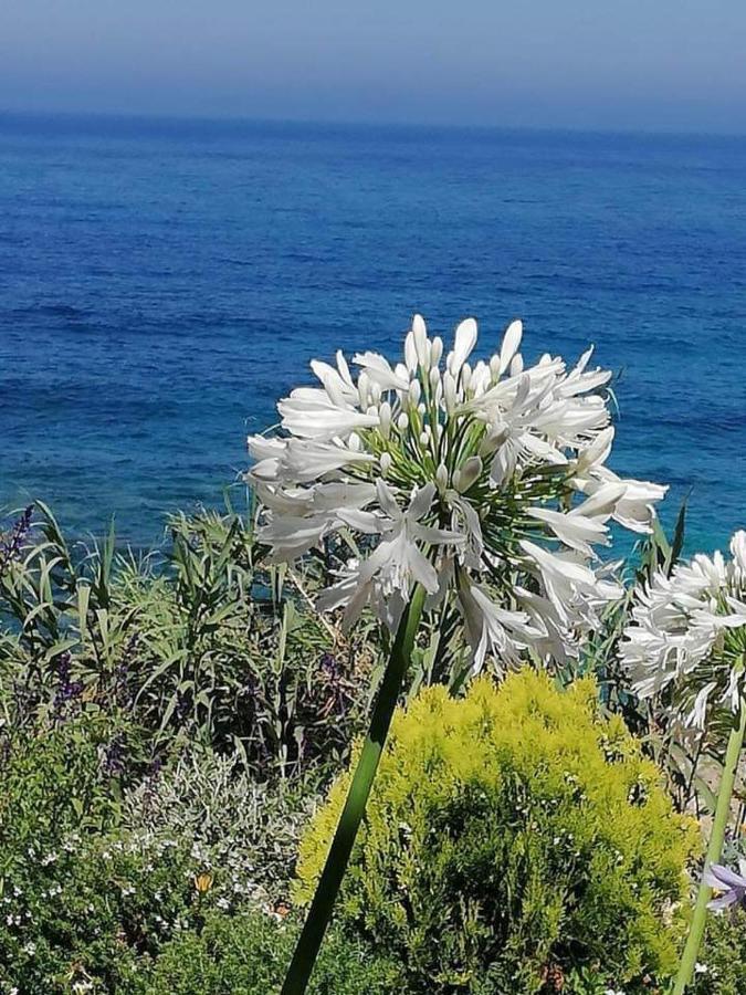 Ikaria Village Maisonette 10 Klorakas 外观 照片