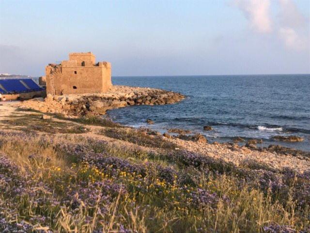 Ikaria Village Maisonette 10 Klorakas 外观 照片